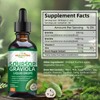 HEALOADING Soursop Bitters Liquid Drop: Organic Graviola Soursop Leaf Extract