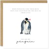 Beau Willows You Are My Penguin Valentines Card - Cute
