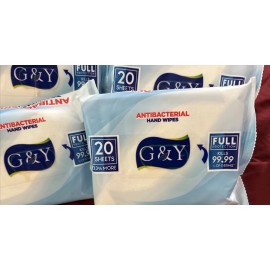 G&Y G &Y  Lot of 12 Packs  Hand Wipes 20 counts