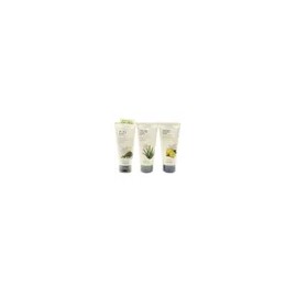 더페이스샵 The Face Shop Herb Day 365 Cleansing Foam 170ml x 3 pieces_Choice