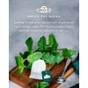 Ahmad Tea Mint Mystique Green Tea - 20 Teabags