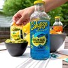 Calypso Lemonades 16 Ounce Glass Bottles 6 Pack (Ocean Blue