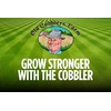 Succulent & Cactus Food – Premium Fertilizer – Low-Feed Formula