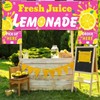 Lemonade Stand Supplies 3x10 ft Lemonade Stand Banner with Order
