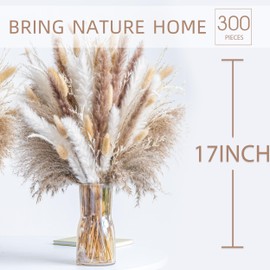 Natural Dried Pampas Grass Boho Home Decor Bouquet Phragmites Dried Flowers Bouquet for Wedding Floral Arrangements Home Decorations (300PCS)