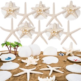 JMZYJZH 15 Pcs Starfish Decor, Small Starfish for Crafts, Tiny Sea Shells for Crafting, Scallop Clam Shells for DIY Ocean Themed Party Supplies