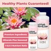 Lotus Fertilizer, Complete Lotus Plant Food, 8 oz (250mL)