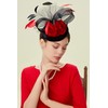 BABEYOND Fascinator Hat Feather Fascinators Hair Clip Tea Party Pillbox