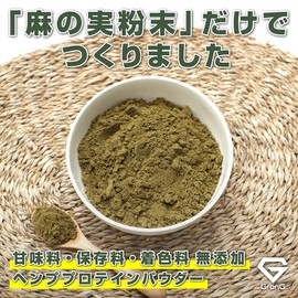 グロング GronG ヘンププロテインパウダー 500g