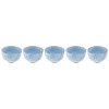 Mino Ware Sencha Set of 5 Hanashizuku 569-31-32E(5)