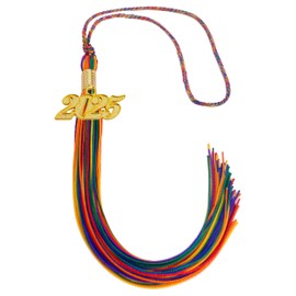 GRADFTY Graduation Tassel 2025,Rainbow Tassel 2025