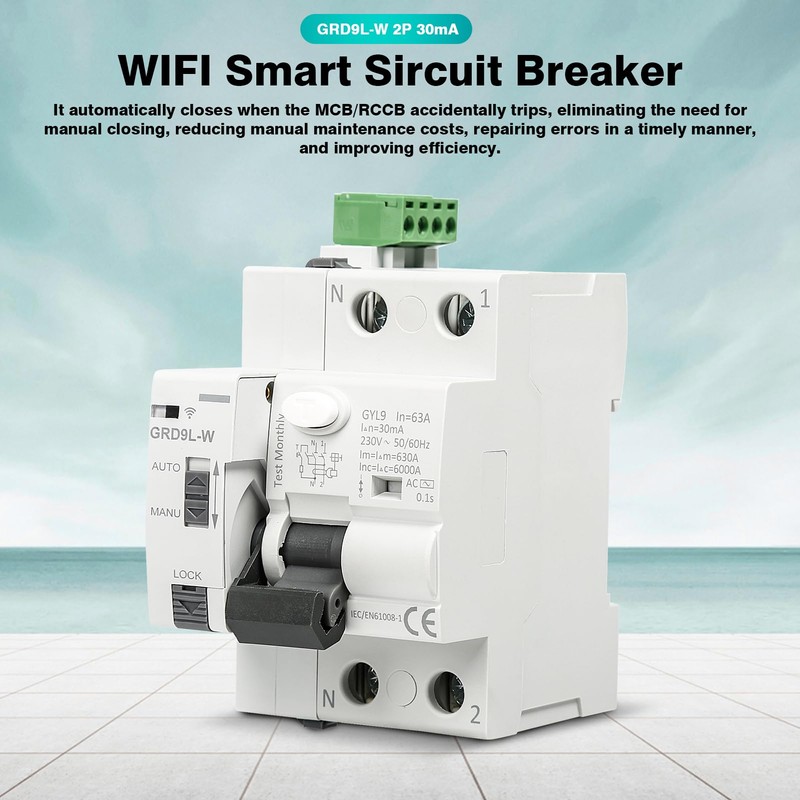 FI Circuit Breaker 63A 30MA 2-Pin Automatic Circuit Breaker WiFi