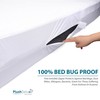 PlushDeluxe Premium Zippered Mattress Encasement, Waterproof, Bed Bug & Dust