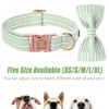 MR.CHUBBYFACE Green Dog Collar with Bowtie, Cute Summer Pet Collar