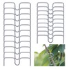 Suynauetev Branch clips for fruit trees