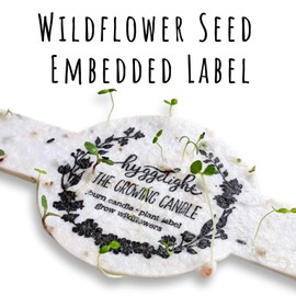 Hyggelight | The Growing Candle. Tired of Tossing Empty Candles? Try Our Less-Waste Solution. 10 oz, 55 hr Burn Time, 100% Soy Wax, Cotton Wick, Handmade Reusable Pot. Ida | Chai