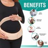 ZiaWorld 4 in 1 Pregnancy Support Belt Maternity Belt Lightweight