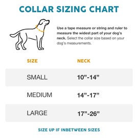 Embark Urban Dog Collar – Dog Collar Stylish & Durable Nylon Dog Collar for Large Dogs, Small Dogs & Medium Dogs.Comfortable Pet Collar Strong Buckles for Any Size Breed (Mayan, Small)