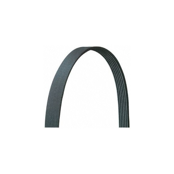 DRIVE RITE BY DAYCO V-Ribbed Belt