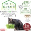 Catty Man Grown at Home, Raw Cat Vegetables, 2 Servings
