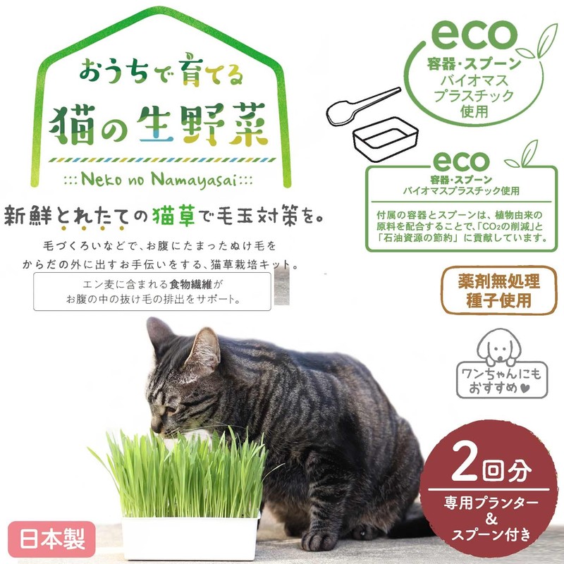 Catty Man Grown at Home, Raw Cat Vegetables, 2 Servings
