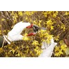 Spear & Jackson LHLGLOVESKEW Kew Gardens Collection Lined Leather Gloves