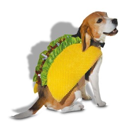 Bootique - Disfraz de taco para perros y gatos, talla XS