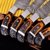 CHEF KNIVES Handmade HAND FORGED DAMASCUS STEEL CHEF KNIFE Set