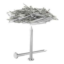 Dayalo Pack of 50 steel nails, 25 mm, nails, stainless steel, picture nails, nail woodwork, brick for use on brick, plaster and wood