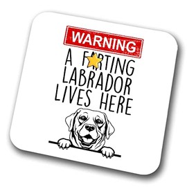 Labrador Warning A Lives Here Mum Dad Coaster Dog Dad Labrador Dad Friend Funny Gift for Birthday Christmas, Labrador Mum Coaster