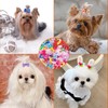 Berkelen Dog Hair Accessories, Pack of 50 Dog Hair Bows