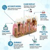 Dental Caries Tooth Anatomy Model Tooth Pathology Models Caries Evolution