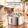 2.2L Smart Motion Sensor Cat Water Fountain – Stainless Steel