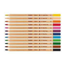 Caja 12 lápices de Colores con mina Grande Ø3,3 mm 213