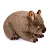 lilizzhoumax Simulation Wombat Plush Toy 28cm/11”, Realistic Stuffed Animal Cute