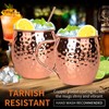 Moscow Mule Copper Mugs Moscow Mule Cups Kit 19oz Set