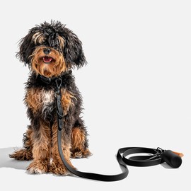 Wild One Leash - Standard - Black