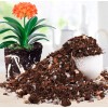 Soil Sunrise Special Nutrient Soil for Clivia Potting Soil Mix,