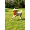 King Sunglasses for Medium-Sized Dog - UV Protective Lenses, Debris