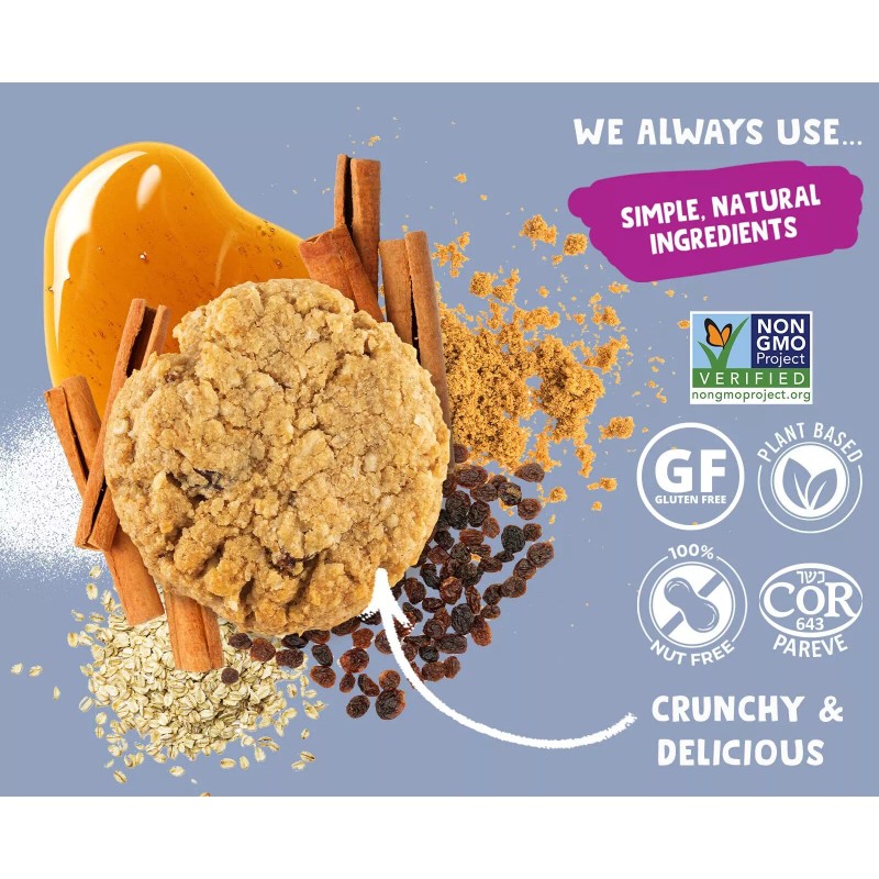 Allergy Smart Oatmeal Raisin Cookies 4.95 oz (Pack Of 6)
