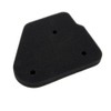 2EXTREME Air Filter Insert for Rex Rex 50, Rexy 50,