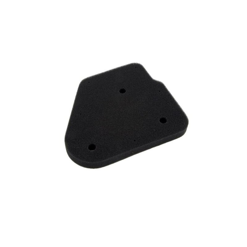 2EXTREME Air Filter Insert for Rex Rex 50, Rexy 50,