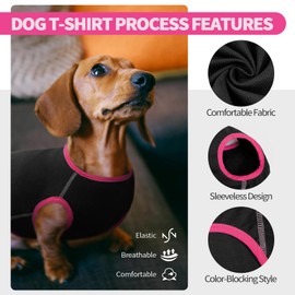 Hjyokuso Dachshund Fleece Dog Jumper for Small Dogs