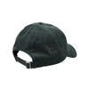 IRIEDAILY Corvin Dad Cap, Hunter