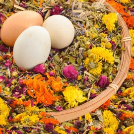 Egcina Chicken Nesting Box Herbs - 10 Natural Dried Herbs for Nesting Box, Premium Laying Hen Nesting Pads, Chicken Coop, Aromatic Herbs for Roost, Coop Accessories, Coop Freshness 7.05oz