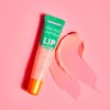Tree Hut Sugar Lips Lip Butter Watermelon 15g / 트리헛