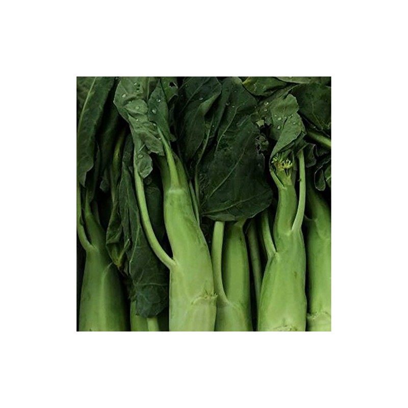 Broccoli Seeds - Chinese Broccoli - Big Stem - 1