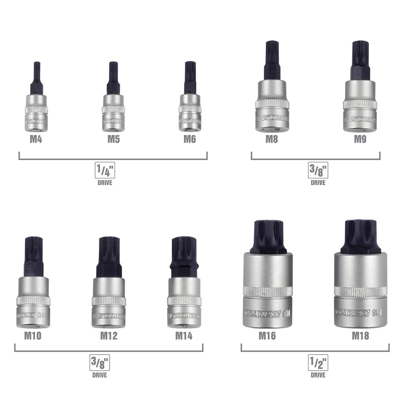 OEMTOOLS 23906 Triple Square Bit Set, Spline Socket Set 10