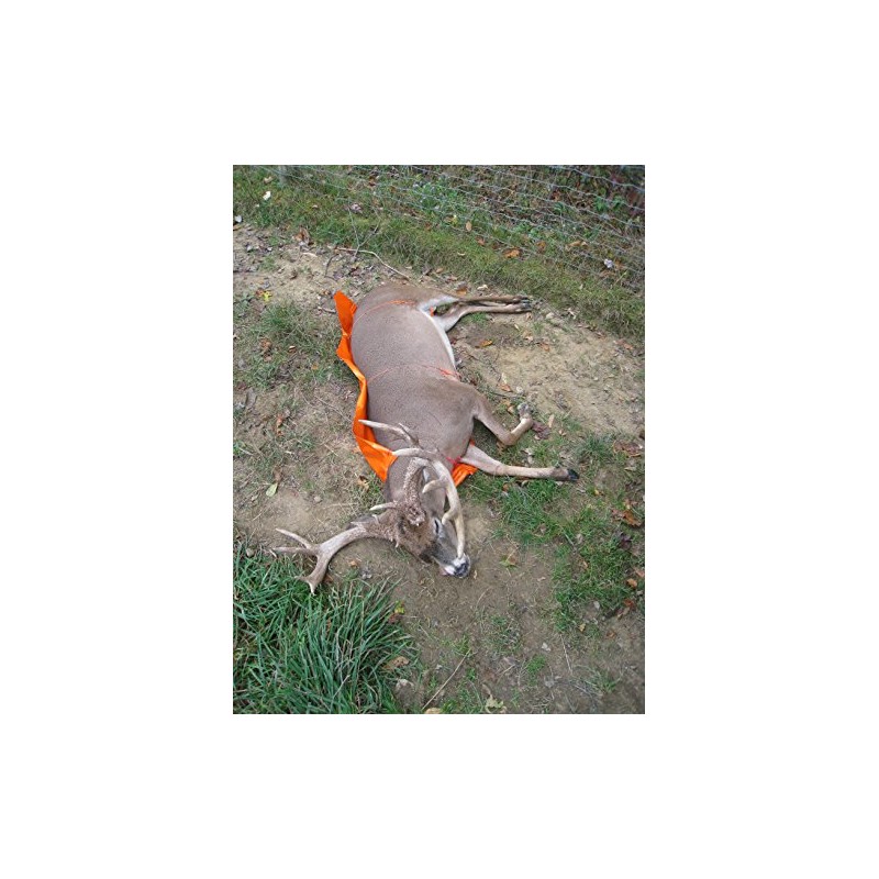 Cass Creek – Juego Glide – ccgg – Deer Slide