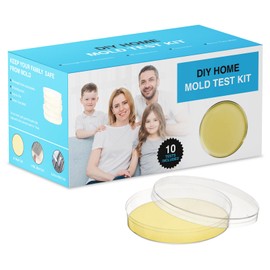 Mold Test Kit for Home - 10 Individual Black Mold Testing Kit Air, at Home Mold Testing Kit for Indoor Air Quality, Includes Detailed Mold Identification Guide, Reliable Mold Detector Kit